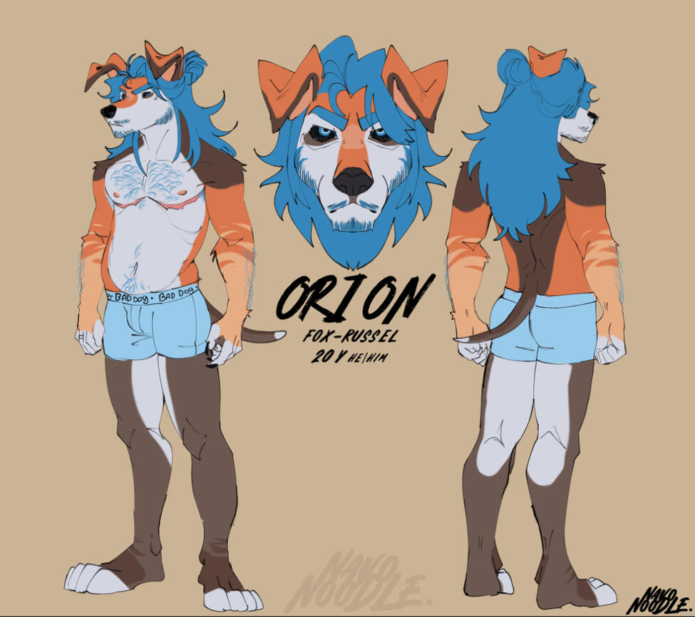 ref sheet
